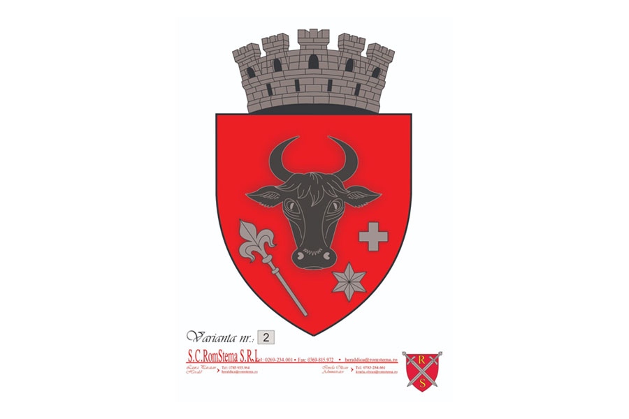 Consiliul Local Sighetu Marmației a aprobat oficial noua stemă a municipiului