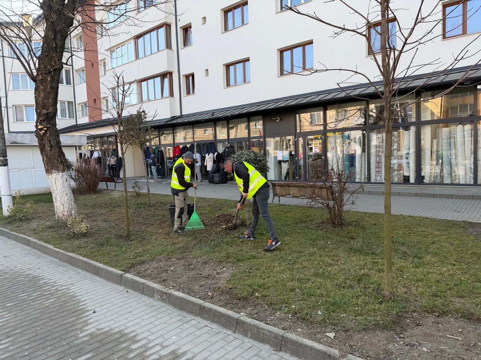 A început curățenia de primăvară în Vișeu de Sus