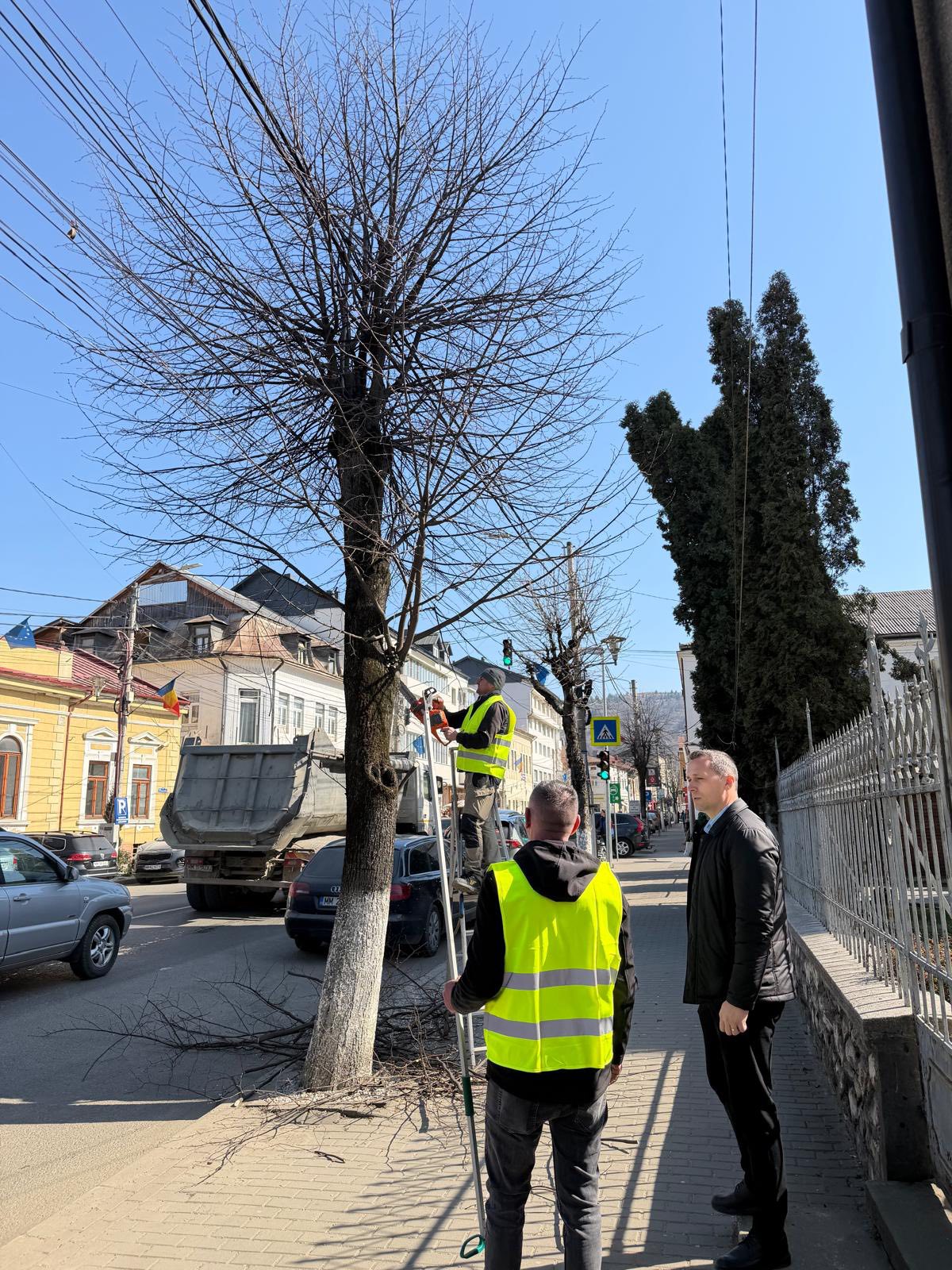 A început curățenia de primăvară în Vișeu de Sus