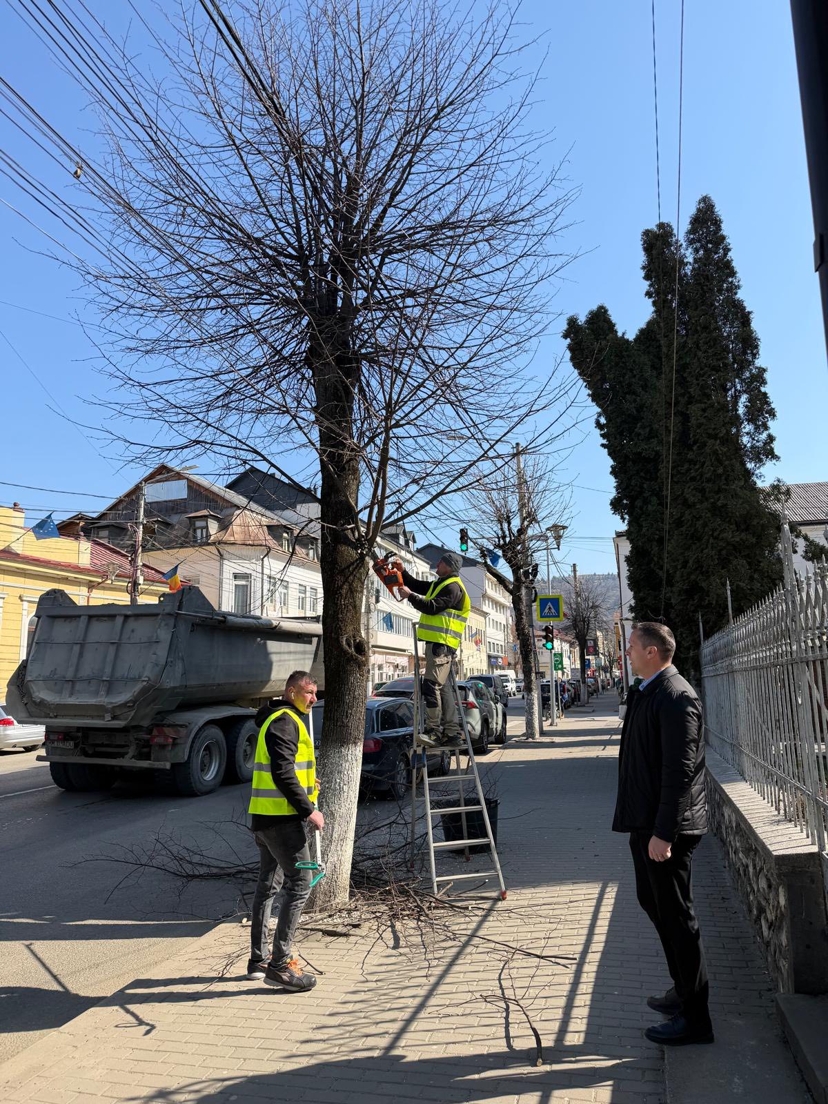 A început curățenia de primăvară în Vișeu de Sus