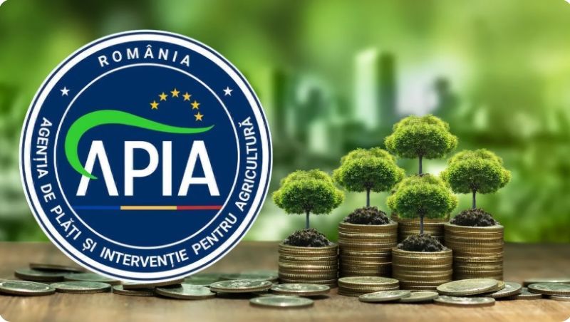 APIA primește, de luni, 23 martie 2026, cereri de plată pentru schema de ajutor de stat „Silvo-mediu și climă”