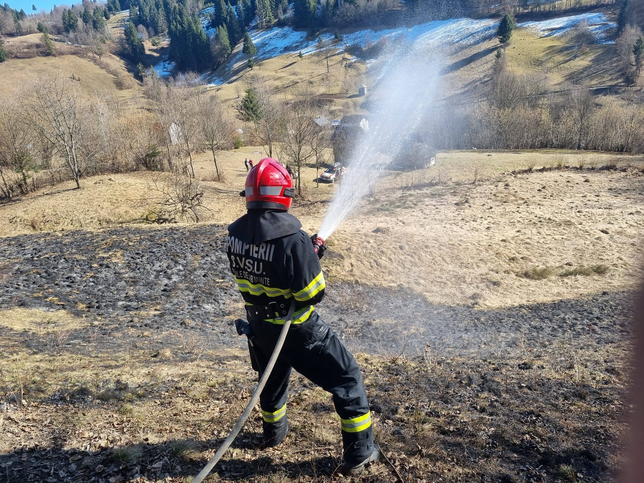FOTO - Incendiu de vegetație în Poienile de sub Munte