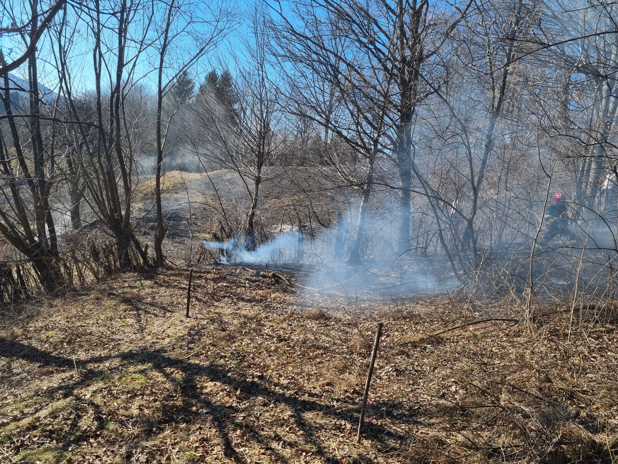 FOTO - Incendiu de vegetație în Poienile de sub Munte