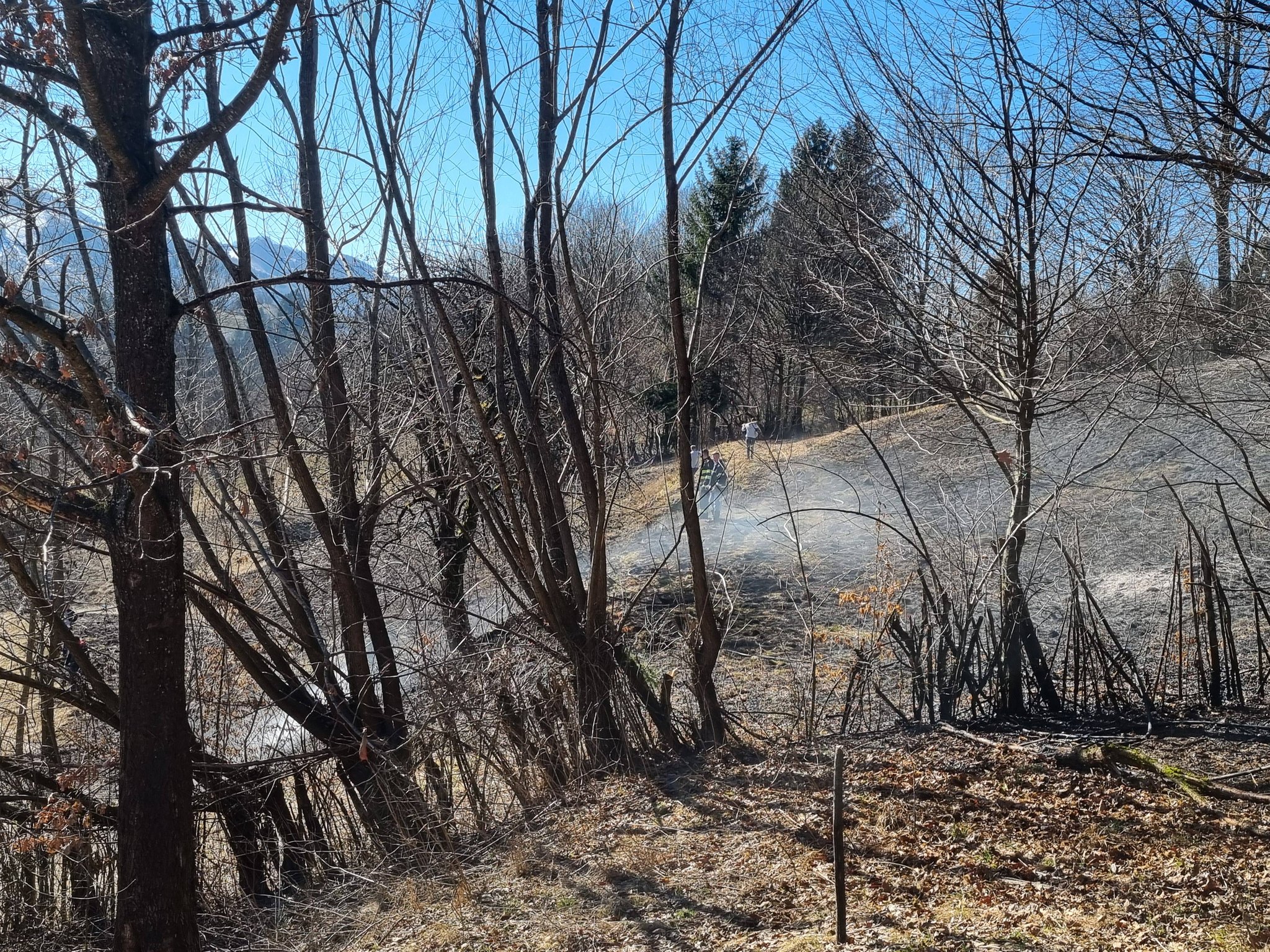 FOTO - Incendiu de vegetație în Poienile de sub Munte