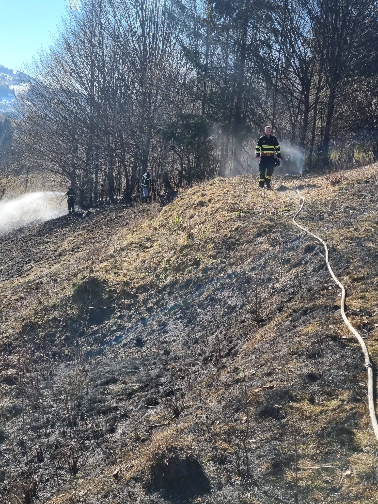 FOTO - Incendiu de vegetație în Poienile de sub Munte