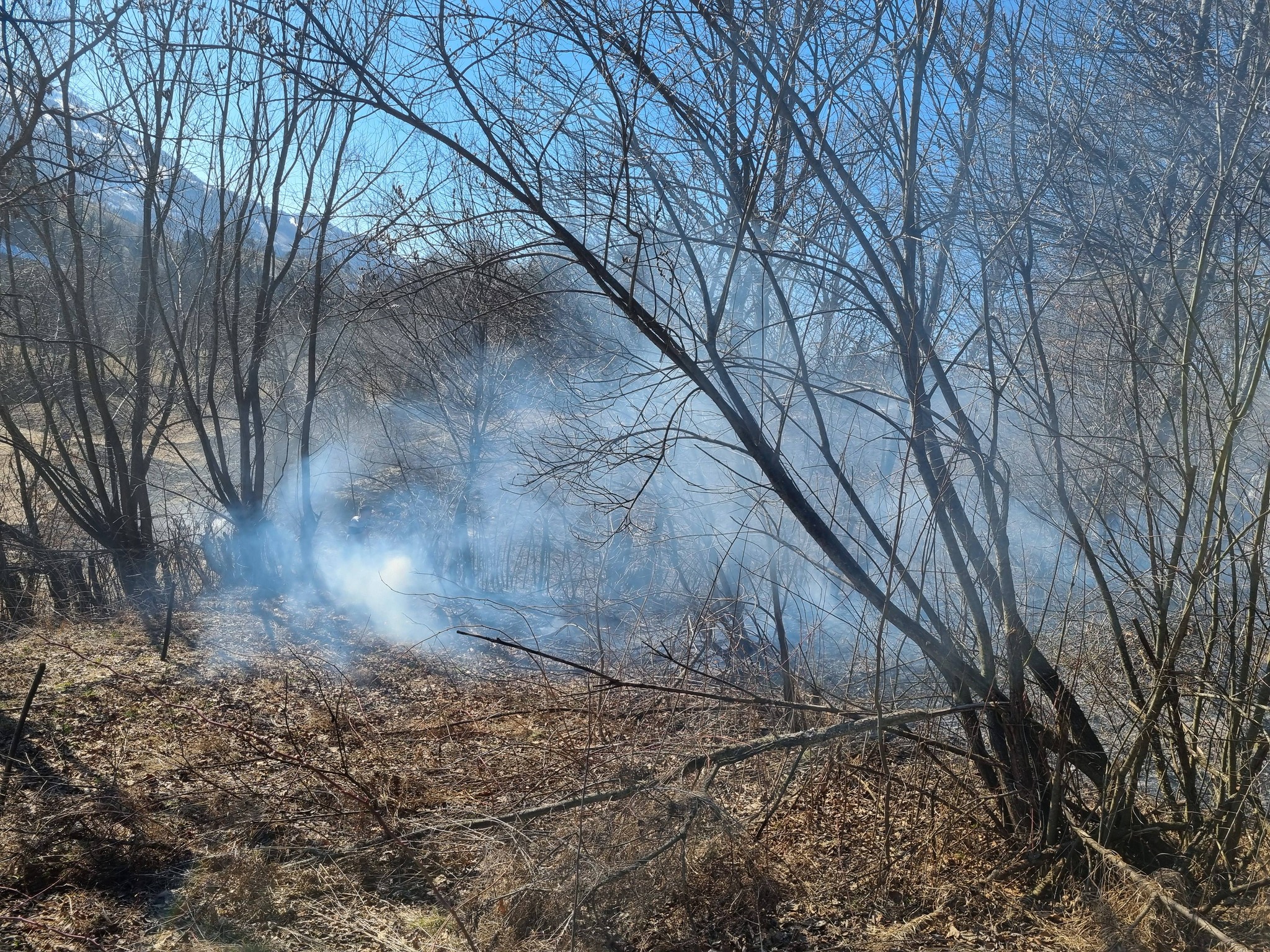 FOTO - Incendiu de vegetație în Poienile de sub Munte