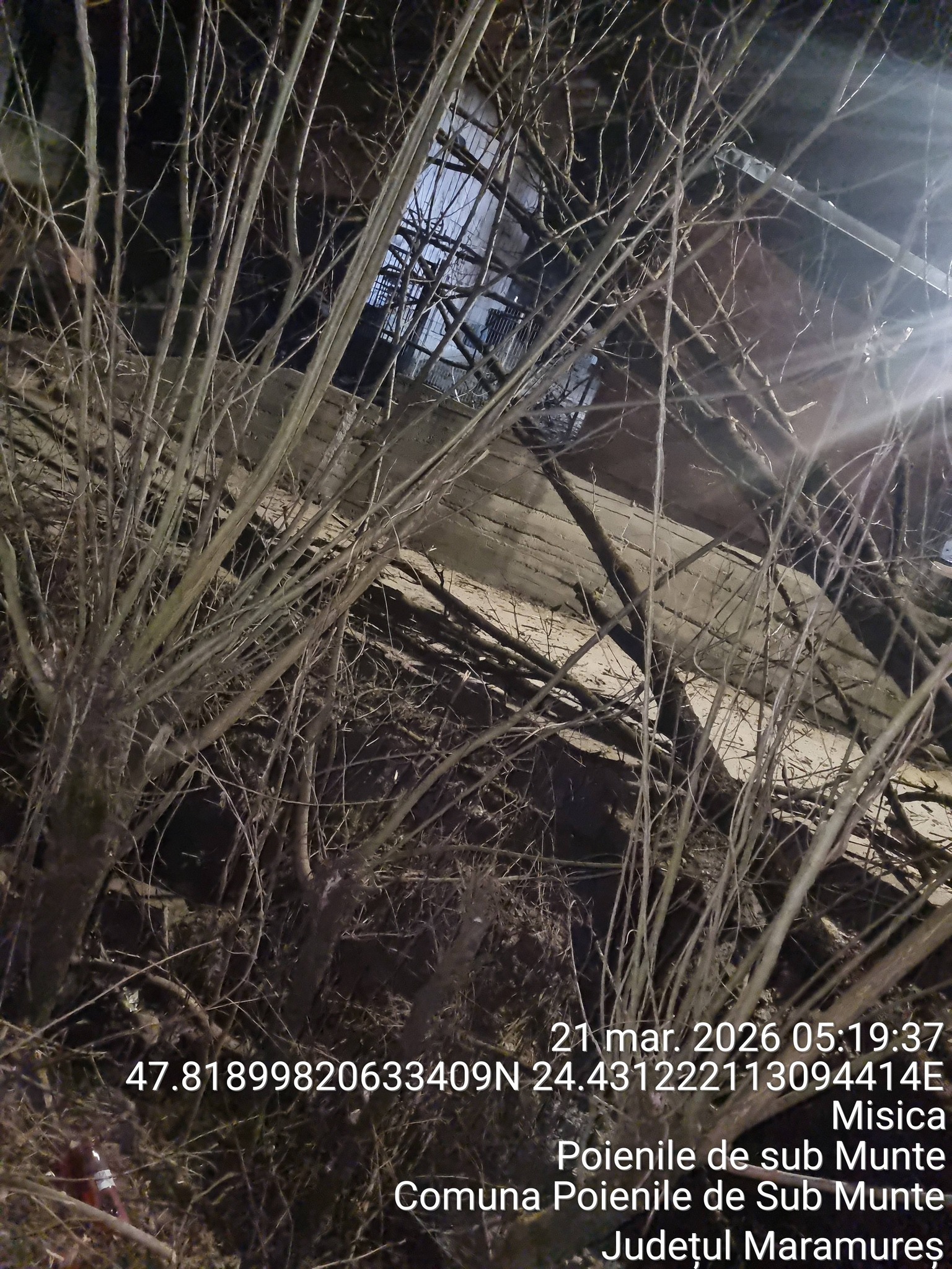 FOTO: Intervenție complexă SVSU Poienile de sub Munte - Arbore căzut pe cabluri electrice și victimă rănită pe drum