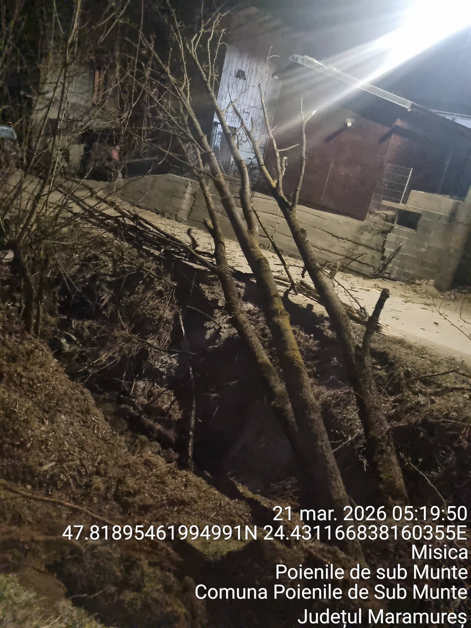 FOTO: Intervenție complexă SVSU Poienile de sub Munte - Arbore căzut pe cabluri electrice și victimă rănită pe drum