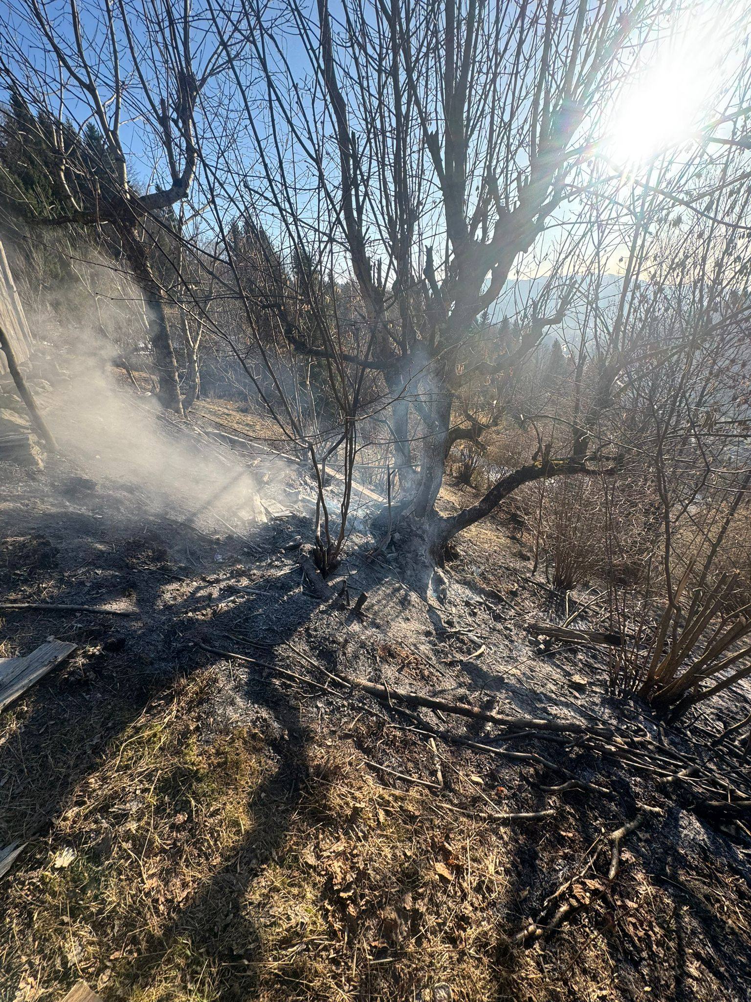 FOTO&VIDEO: Incendiu de vegetație în Poienile de sub Munte - O victimă transportată la spital și un șopru distrus de flăcări