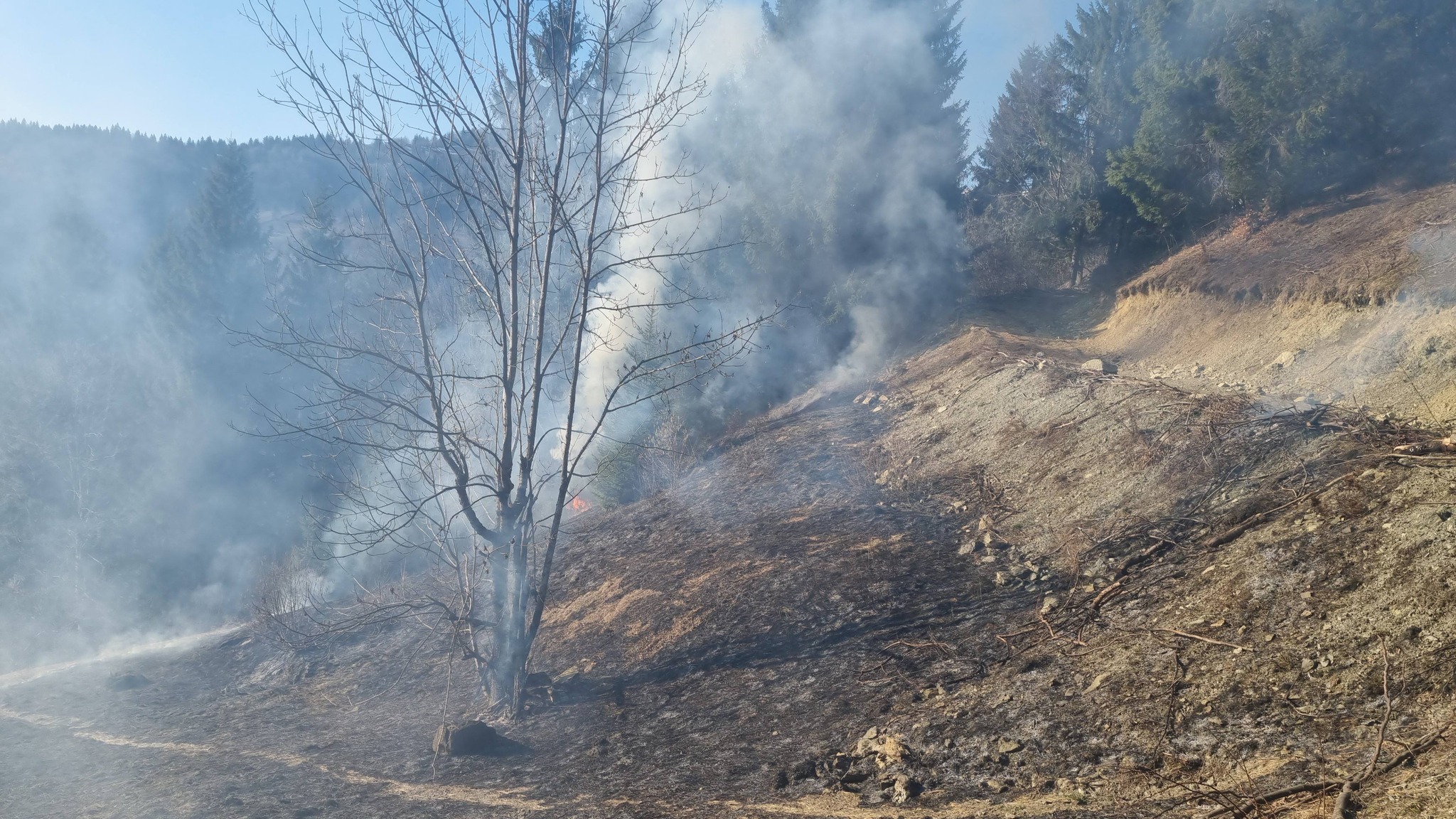 FOTO&VIDEO: Incendiu de vegetație în Poienile de sub Munte - O victimă transportată la spital și un șopru distrus de flăcări