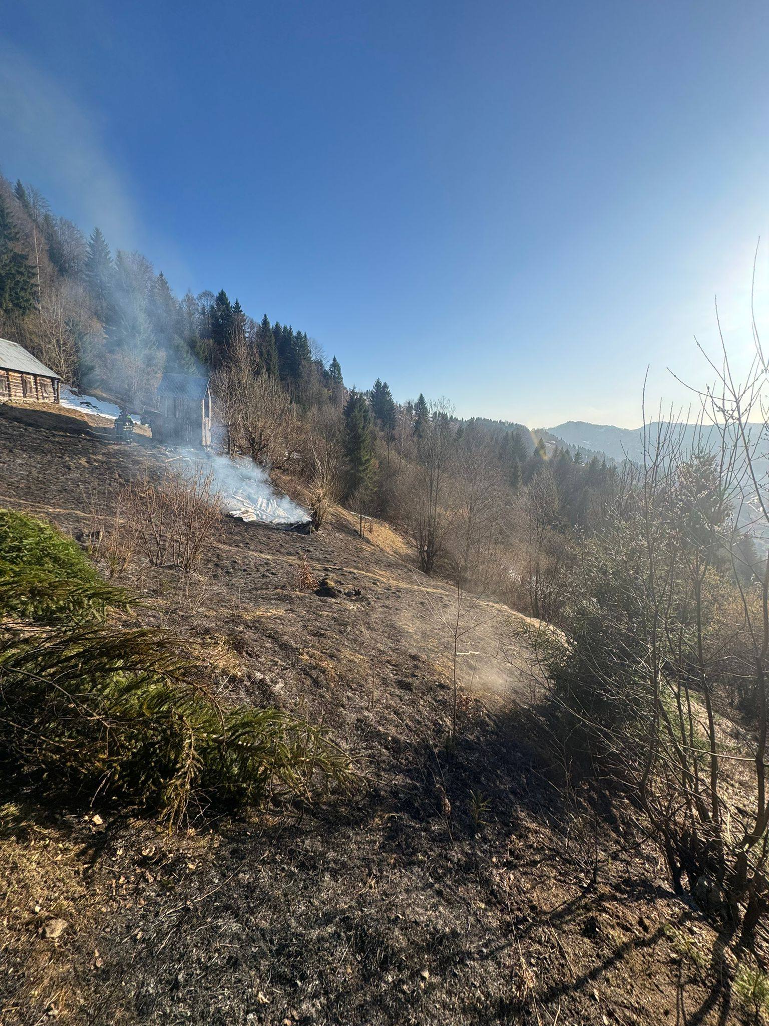 FOTO&VIDEO: Incendiu de vegetație în Poienile de sub Munte - O victimă transportată la spital și un șopru distrus de flăcări