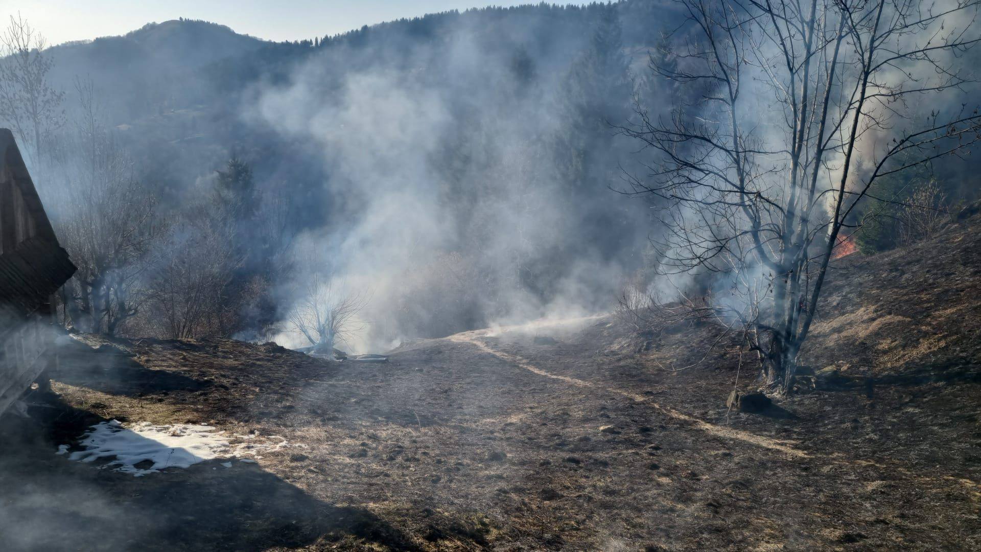 FOTO&VIDEO: Incendiu de vegetație în Poienile de sub Munte - O victimă transportată la spital și un șopru distrus de flăcări