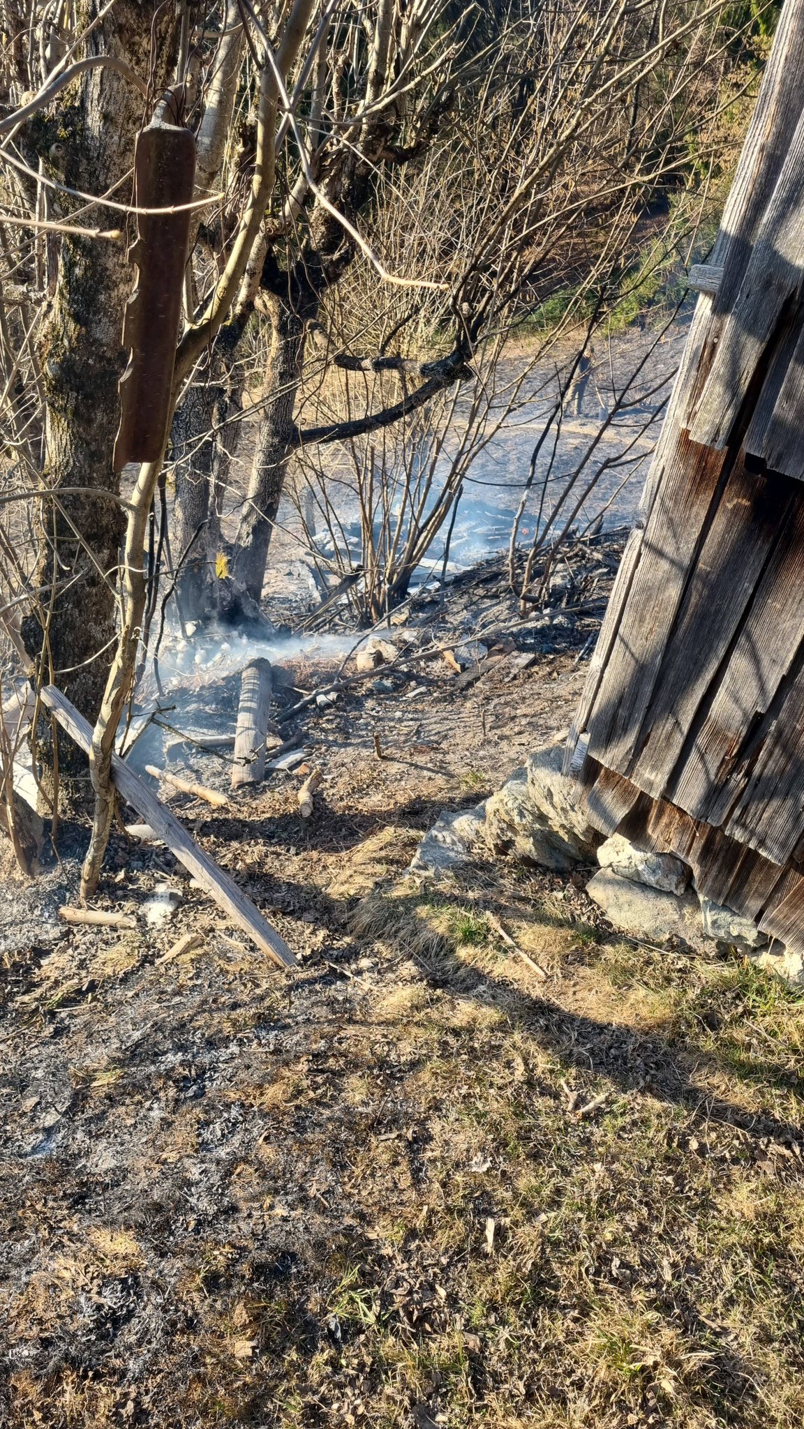 FOTO&VIDEO: Incendiu de vegetație în Poienile de sub Munte - O victimă transportată la spital și un șopru distrus de flăcări