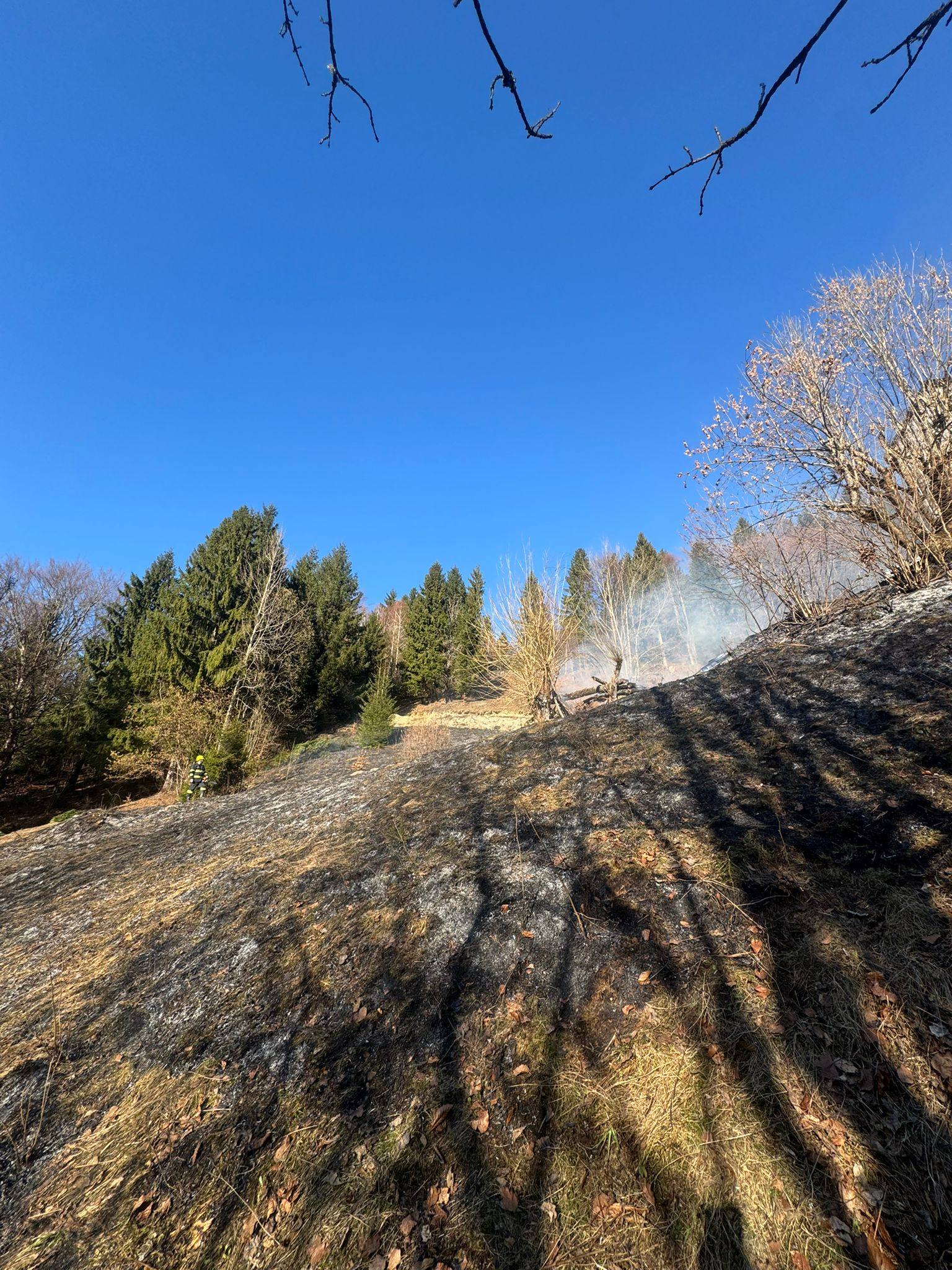 FOTO&VIDEO: Incendiu de vegetație în Poienile de sub Munte - O victimă transportată la spital și un șopru distrus de flăcări