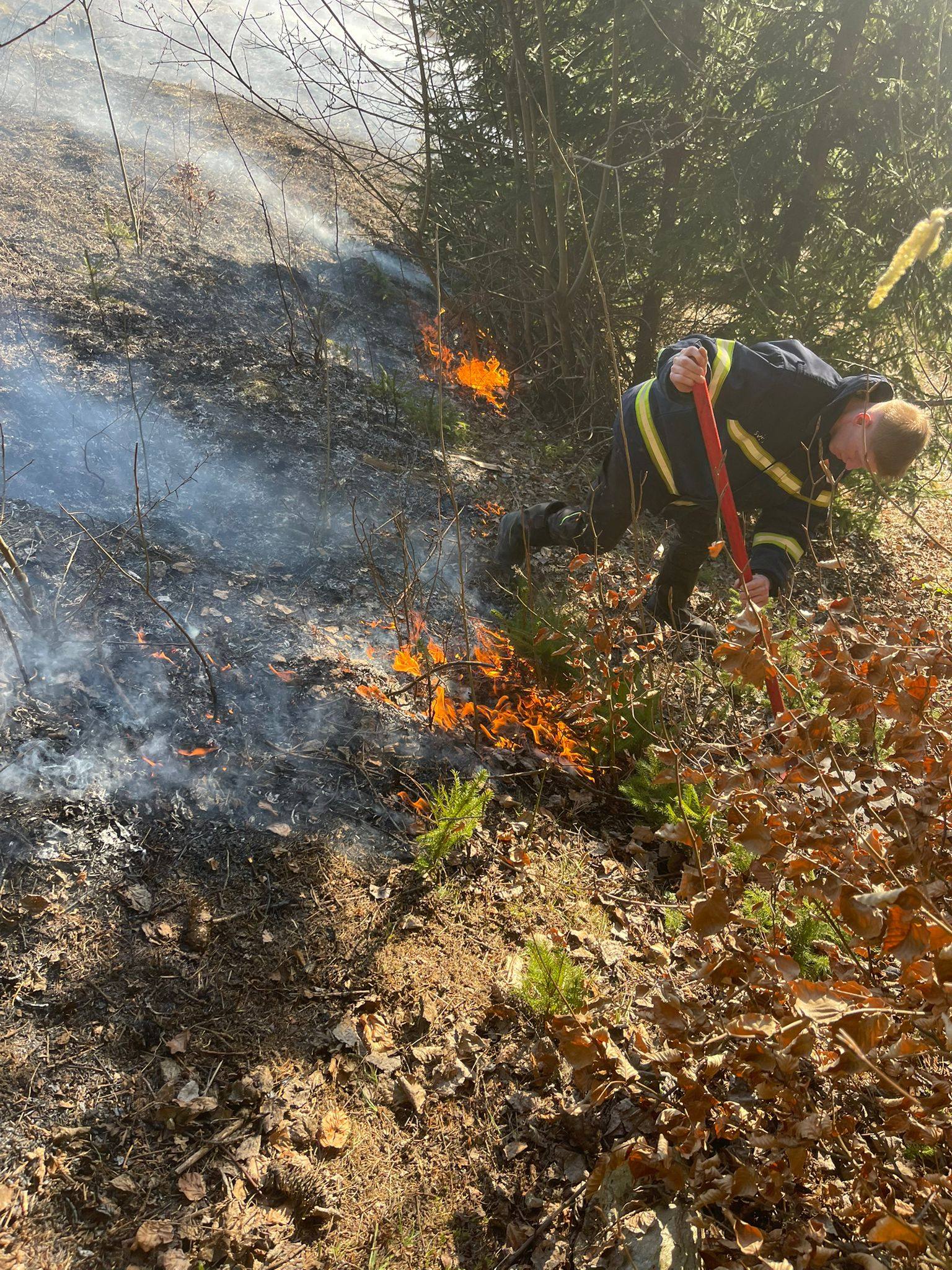 FOTO&VIDEO: Incendiu de vegetație în Poienile de sub Munte - O victimă transportată la spital și un șopru distrus de flăcări