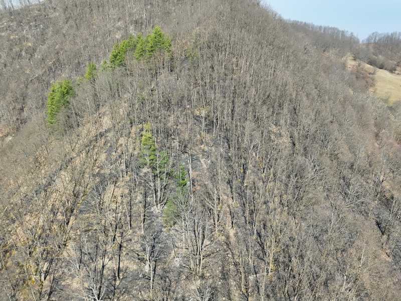 Garda de Mediu Maramureș anunță sancțiuni după un nou incendiu de vegetație în Bârsana