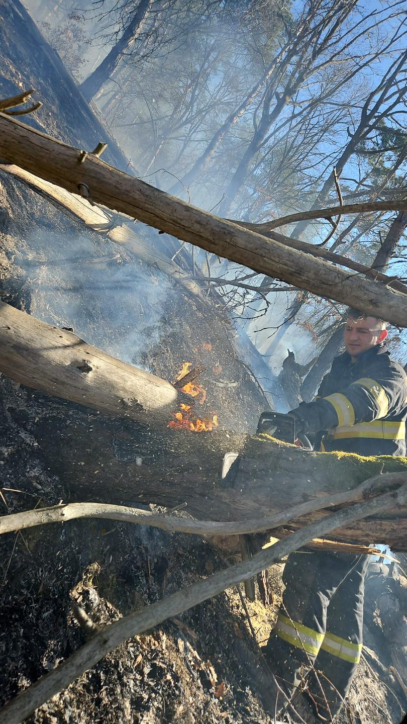 GRAV - Peste 90 de hectare afectate de incendii de vegetație și pădure în Maramureș. Cel mai grav focar, la Nănești, a mobilizat zeci de pompieri și voluntari
