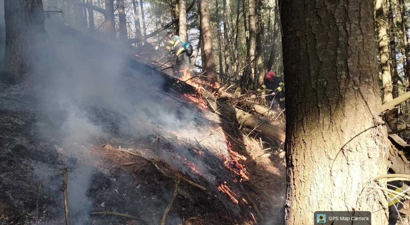 GRAV - Peste 90 de hectare afectate de incendii de vegetație și pădure în Maramureș. Cel mai grav focar, la Nănești, a mobilizat zeci de pompieri și voluntari