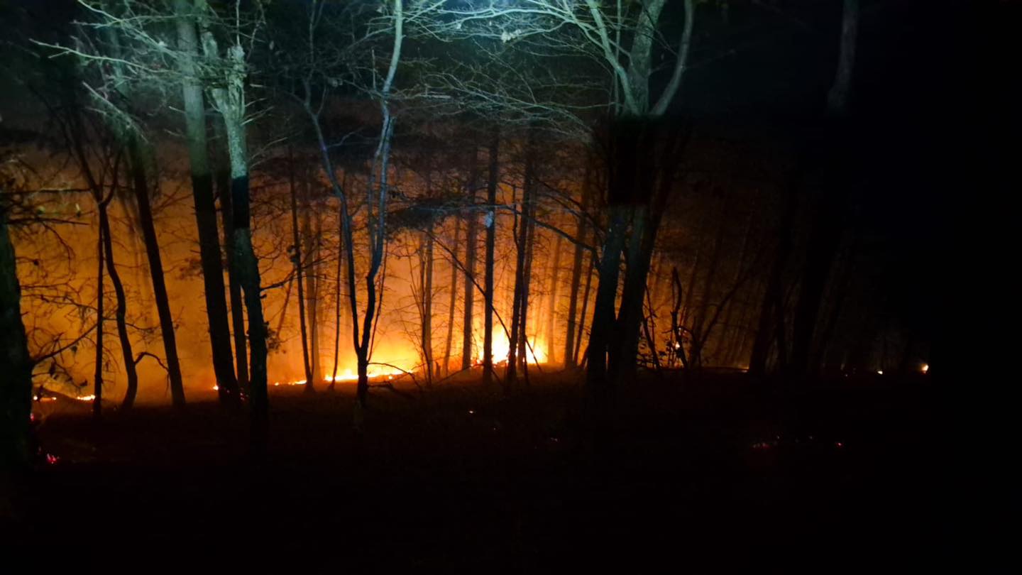 GRAV - Peste 90 de hectare afectate de incendii de vegetație și pădure în Maramureș. Cel mai grav focar, la Nănești, a mobilizat zeci de pompieri și voluntari