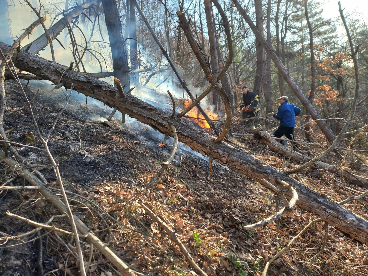 GRAV - Peste 90 de hectare afectate de incendii de vegetație și pădure în Maramureș. Cel mai grav focar, la Nănești, a mobilizat zeci de pompieri și voluntari