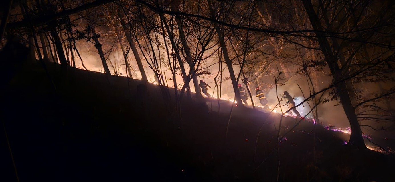 GRAV - Peste 90 de hectare afectate de incendii de vegetație și pădure în Maramureș. Cel mai grav focar, la Nănești, a mobilizat zeci de pompieri și voluntari