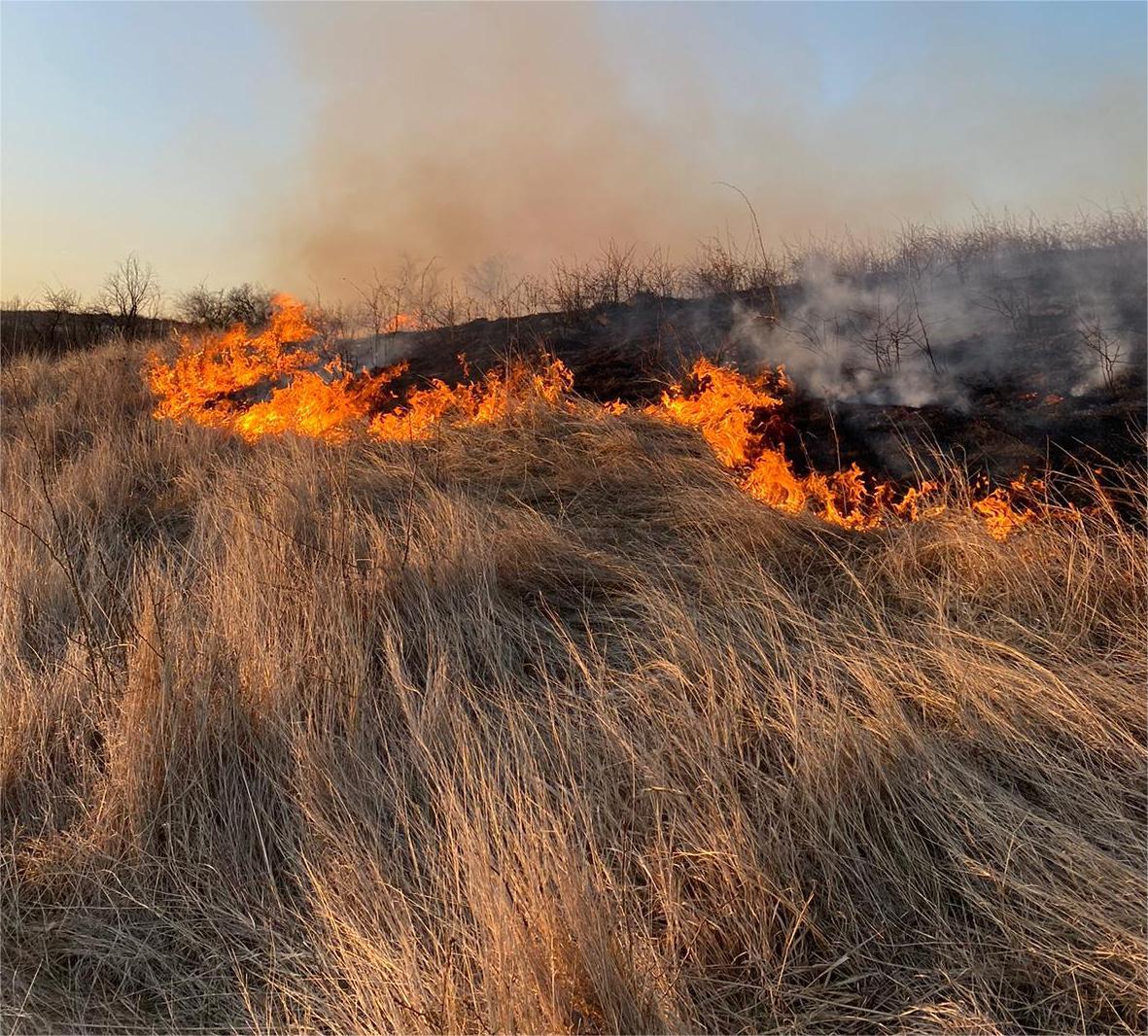 GRAV - Peste 90 de hectare afectate de incendii de vegetație și pădure în Maramureș. Cel mai grav focar, la Nănești, a mobilizat zeci de pompieri și voluntari