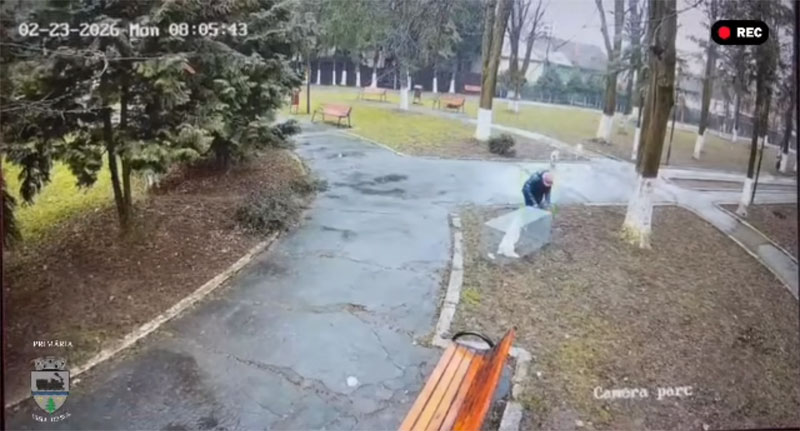 Sabotaj la capturarea câinilor comunitari în Vișeu de Sus