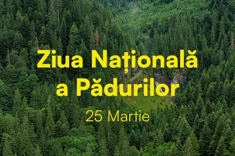 Ziua Națională a Pădurilor, marcată astăzi, 25 martie, în cadrul „Lunii Plantării Arborilor”