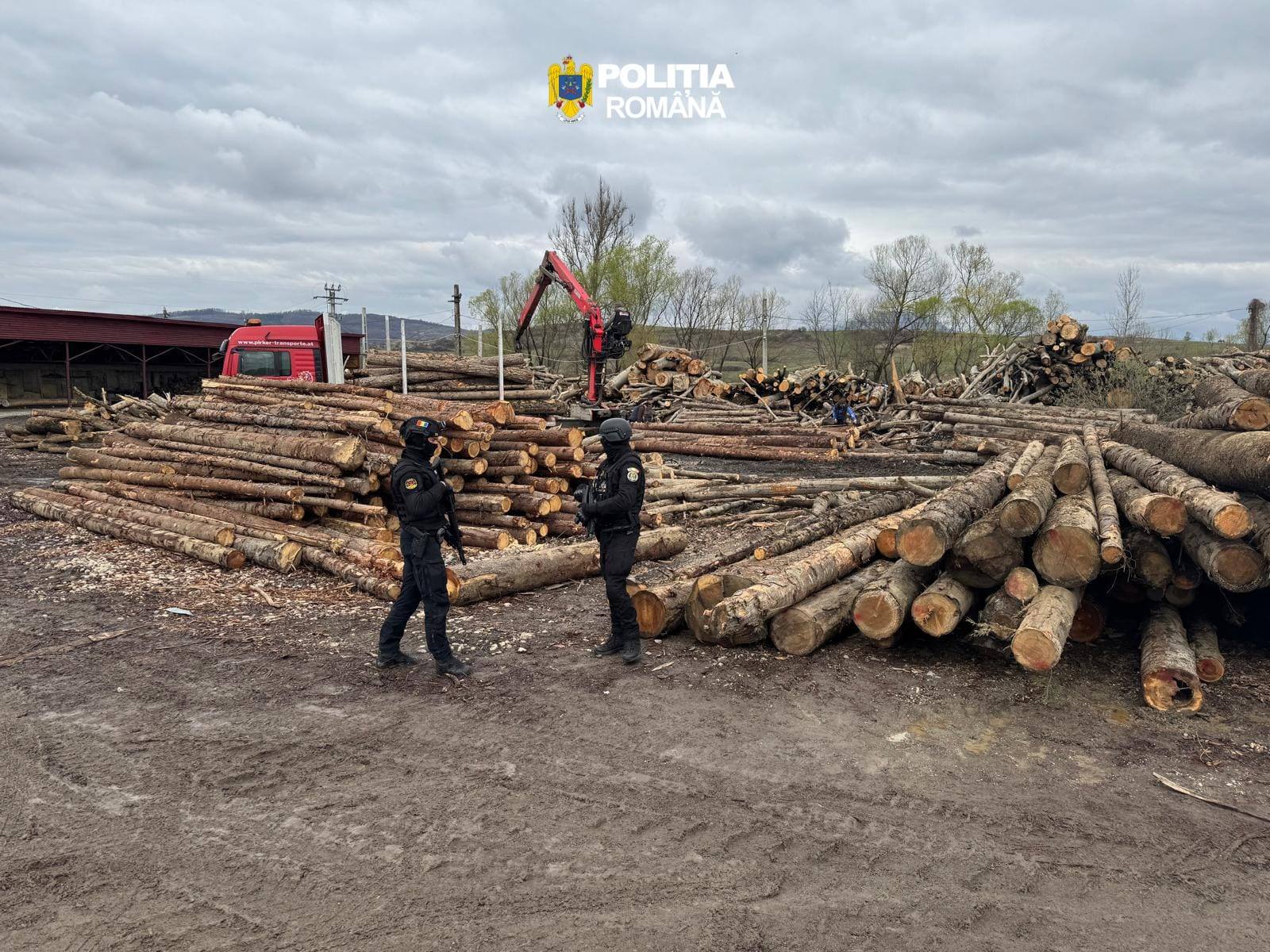 FOTO&VIDEO: PERCHEZIȚII în MARAMUREȘ - 8 persoane reținute. Polițiștii au ridicat zeci de mii de lei, euro, articole pirotehnice și peste 150 de metri cubi de lemn