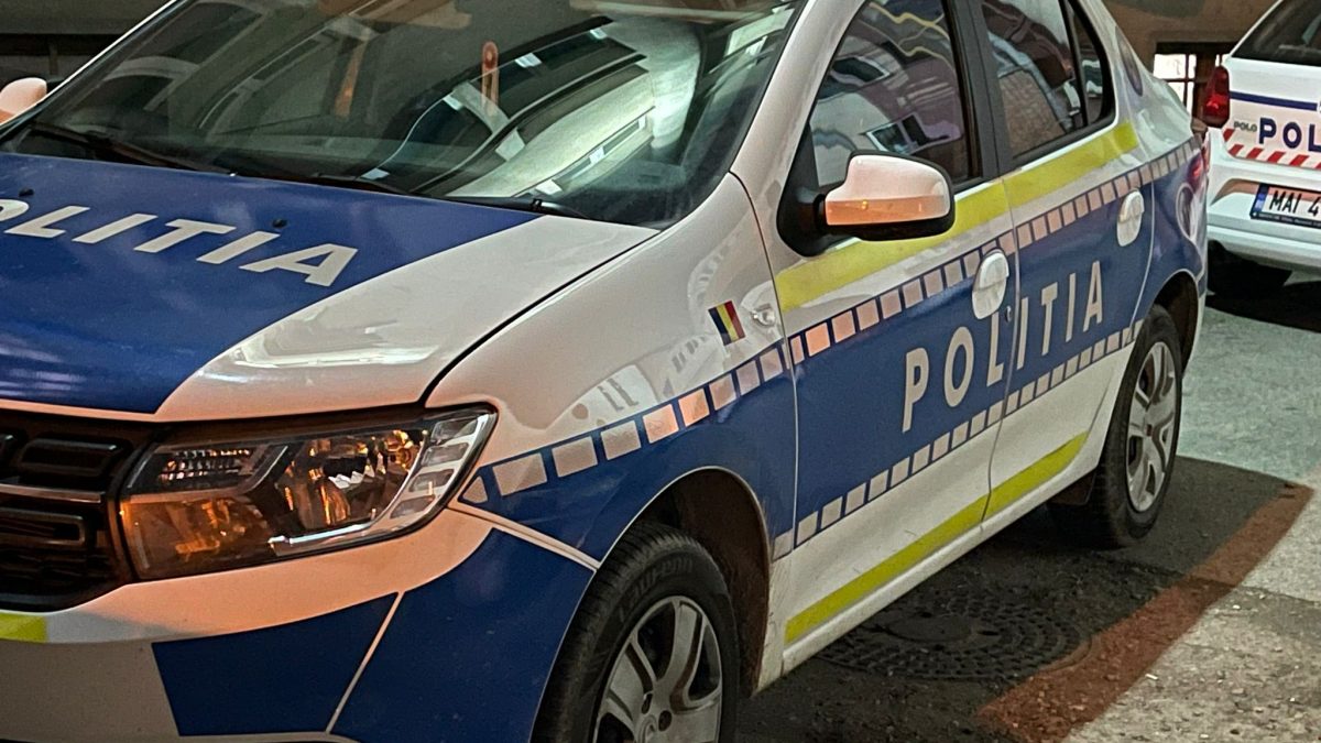 Ordine de protecție emise în Sighetu Marmației și Sat Șugatag în cazuri de violență domestică