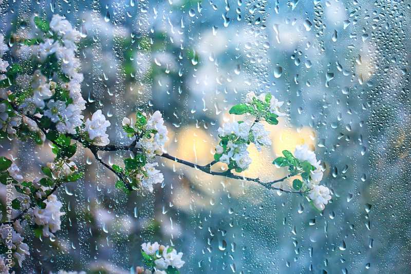 Vreme schimbătoare în Maramureș luni, 6 aprilie 2026 - Averse izolate și temperaturi plăcute