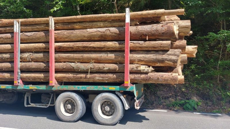 Amenzi de peste 97.000 de lei și peste 160 mc de lemn confiscat în urma controalelor polițiștilor maramureșeni