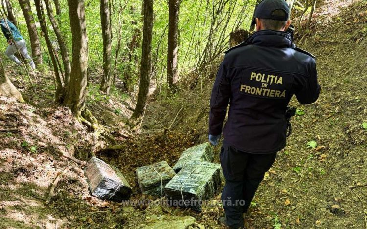 FOTO&VIDEO: Percheziții de amploare în Valea Vișeului - Țigări ascunse în vegetație și mobilier. Șase persoane au fost reținute