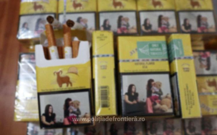 FOTO&VIDEO: Percheziții de amploare în Valea Vișeului - Țigări ascunse în vegetație și mobilier. Șase persoane au fost reținute