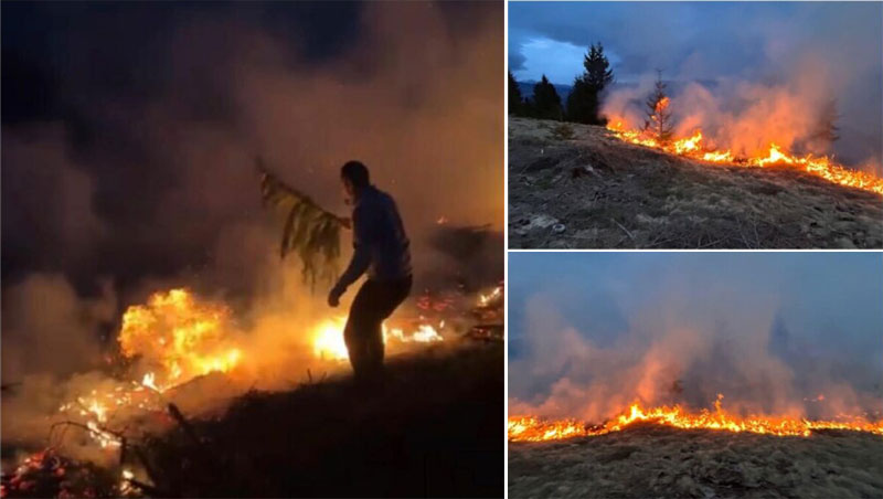 Incendiu de vegetație în BORȘA - Trei hectare de pădure afectate, intervenție amplă a pompierilor și localnicilor