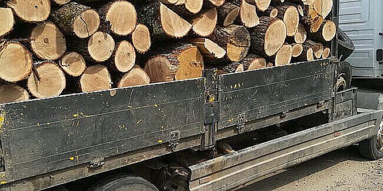 Transport ilegal de lemn depistat la Botiza: bărbat amendat, lemnul confiscat