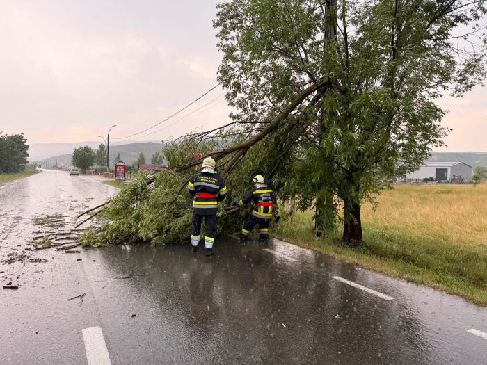Copaci căzuți și un scurtcircuit după furtună în Târgu Lăpuș și Răzoare. Pompierii voluntari au intervenit pentru înlăturarea pericolelor