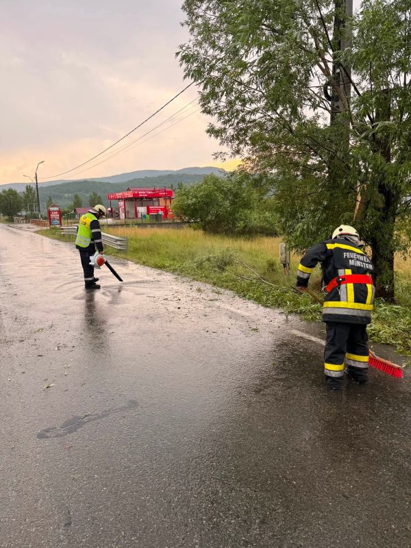 Copaci căzuți și un scurtcircuit după furtună în Târgu Lăpuș și Răzoare. Pompierii voluntari au intervenit pentru înlăturarea pericolelor