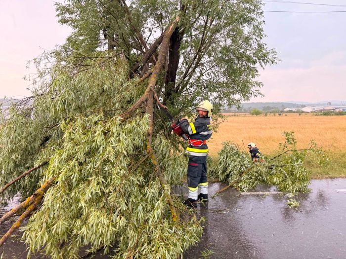 Copaci căzuți și un scurtcircuit după furtună în Târgu Lăpuș și Răzoare. Pompierii voluntari au intervenit pentru înlăturarea pericolelor