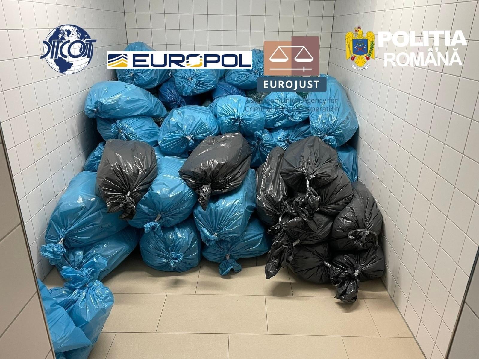 16 percheziții într-un dosar privind o rețea internațională de droguri, inclusiv în Maramureș. Aproape 1,7 tone de droguri au fost capturate în Europa
