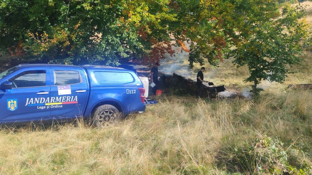 Incendiu vegetație