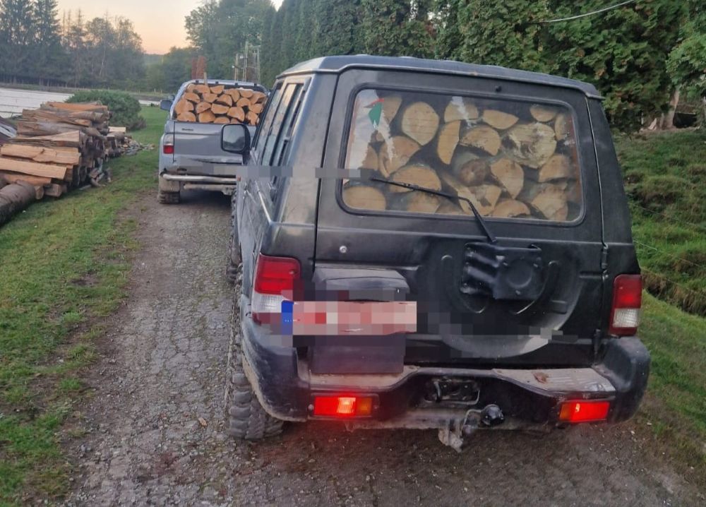 Transport ilegal de lemne