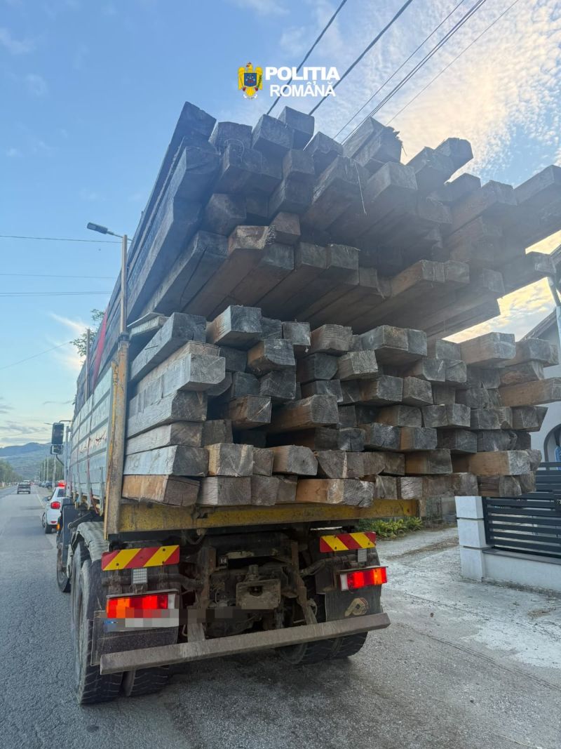 Transport ilegal de lemne